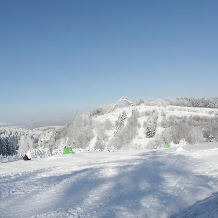 Lejlighed Welcome In - Mit Dachterrasse Direkt An Der Piste Winterberg